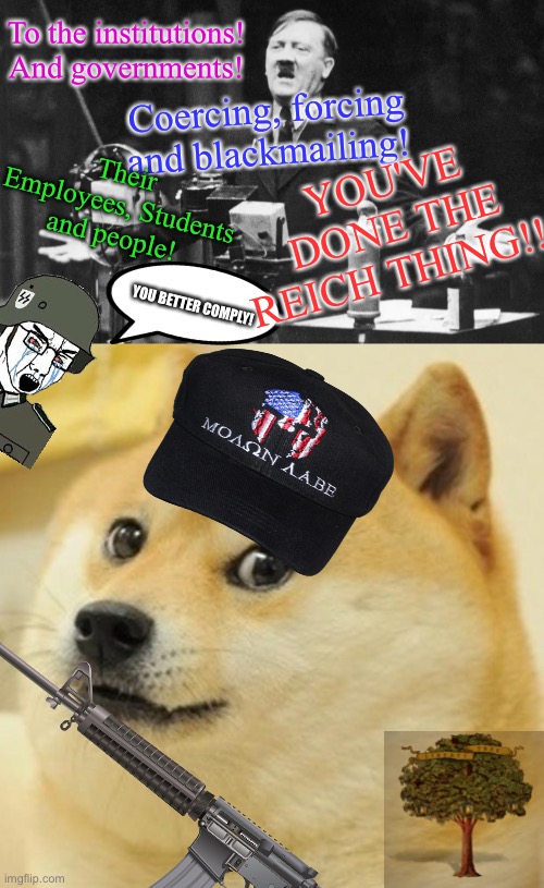Libertarian Doggo | To the institutions! And governments! Coercing, forcing and blackmailing! YOU'VE DONE THE REICH THING!!! Their Employees, Students and people! YOU BETTER COMPLY! | image tagged in memes,doge,libertarian,constitution | made w/ Imgflip meme maker