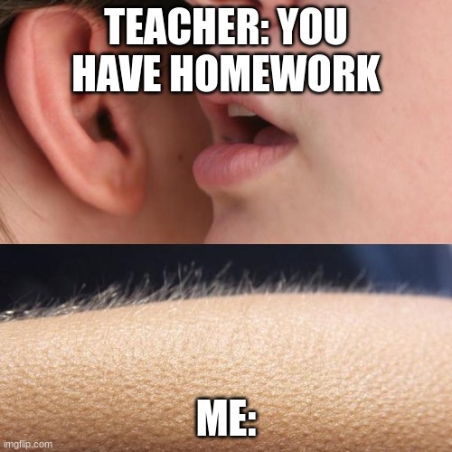 Teachers be like | TEACHER: YOU HAVE HOMEWORK; ME: | image tagged in whisper and goosebumps | made w/ Imgflip meme maker