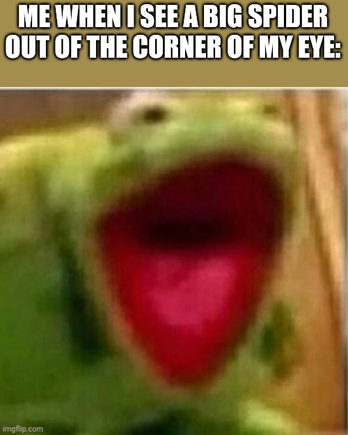 AHHHHHHHHHHHHH | ME WHEN I SEE A BIG SPIDER OUT OF THE CORNER OF MY EYE: | image tagged in ahhhhhhhhhhhhh | made w/ Imgflip meme maker