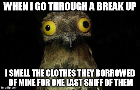 Weird Stuff I Do Potoo Meme | WHEN I GO THROUGH A BREAK UP I SMELL THE CLOTHES THEY BORROWED OF MINE FOR ONE LAST SNIFF OF THEM | image tagged in memes,weird stuff i do potoo,AdviceAnimals | made w/ Imgflip meme maker