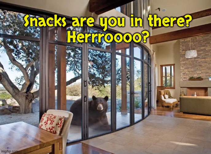 Snacks are you in there?
Herrroooo? | made w/ Imgflip meme maker