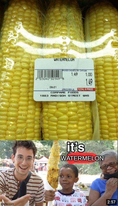 Its watermelon! | image tagged in lol,funny,lol so funny,you had one job,you had one job just the one,memes | made w/ Imgflip meme maker