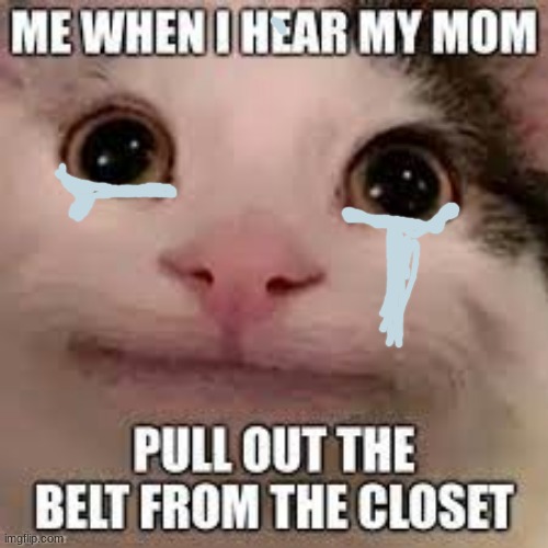 Me When Mom Pulls The BELT From The Closet | image tagged in crying cat,belt spanking | made w/ Imgflip meme maker