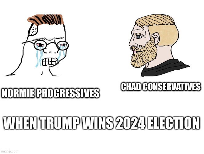 POV Liberals | NORMIE PROGRESSIVES; CHAD CONSERVATIVES; WHEN TRUMP WINS 2024 ELECTION | image tagged in zoomer vs chad,politics,political meme,soyboy vs yes chad,giga chad,memes | made w/ Imgflip meme maker