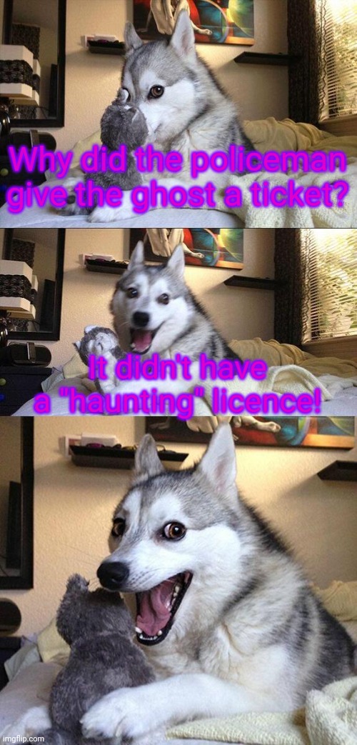 Bad Pun Dog | Why did the policeman give the ghost a ticket? It didn't have a "haunting" licence! | image tagged in memes,bad pun dog | made w/ Imgflip meme maker