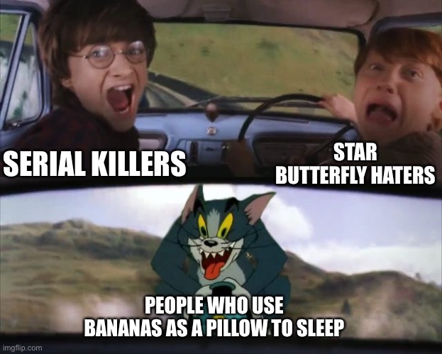 WHO EVEN SLEEPS ON BANANAS?!?! | SERIAL KILLERS; STAR BUTTERFLY HATERS; PEOPLE WHO USE BANANAS AS A PILLOW TO SLEEP | image tagged in tom chasing harry and ron weasly,memes,banana,pillow,funny,dank memes | made w/ Imgflip meme maker