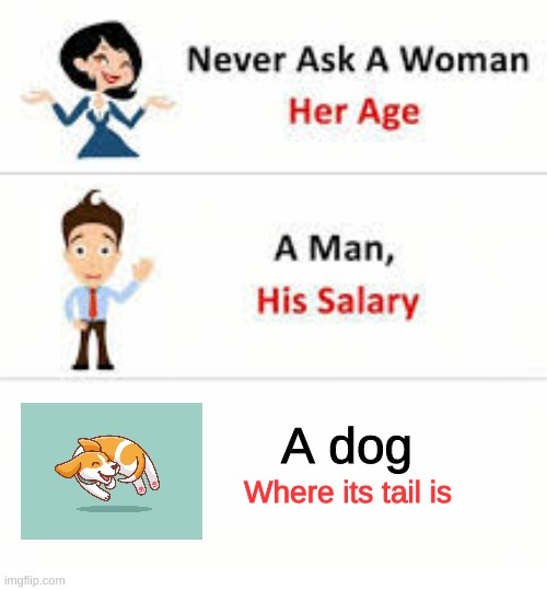 Dog will chase tail if tail is mentioned | A dog; Where its tail is | image tagged in never ask a woman her age,dog | made w/ Imgflip meme maker