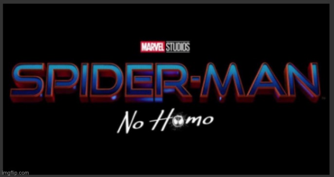 Spiderman No Homo | image tagged in spiderman no homo | made w/ Imgflip meme maker