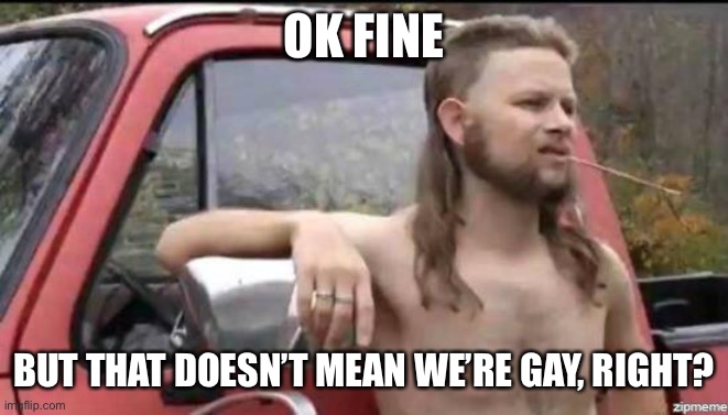 almost politically correct redneck | OK FINE; BUT THAT DOESN’T MEAN WE’RE GAY, RIGHT? | image tagged in almost politically correct redneck,memes | made w/ Imgflip meme maker