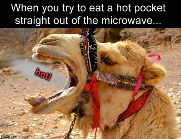 hot! | image tagged in hot pockets | made w/ Imgflip meme maker