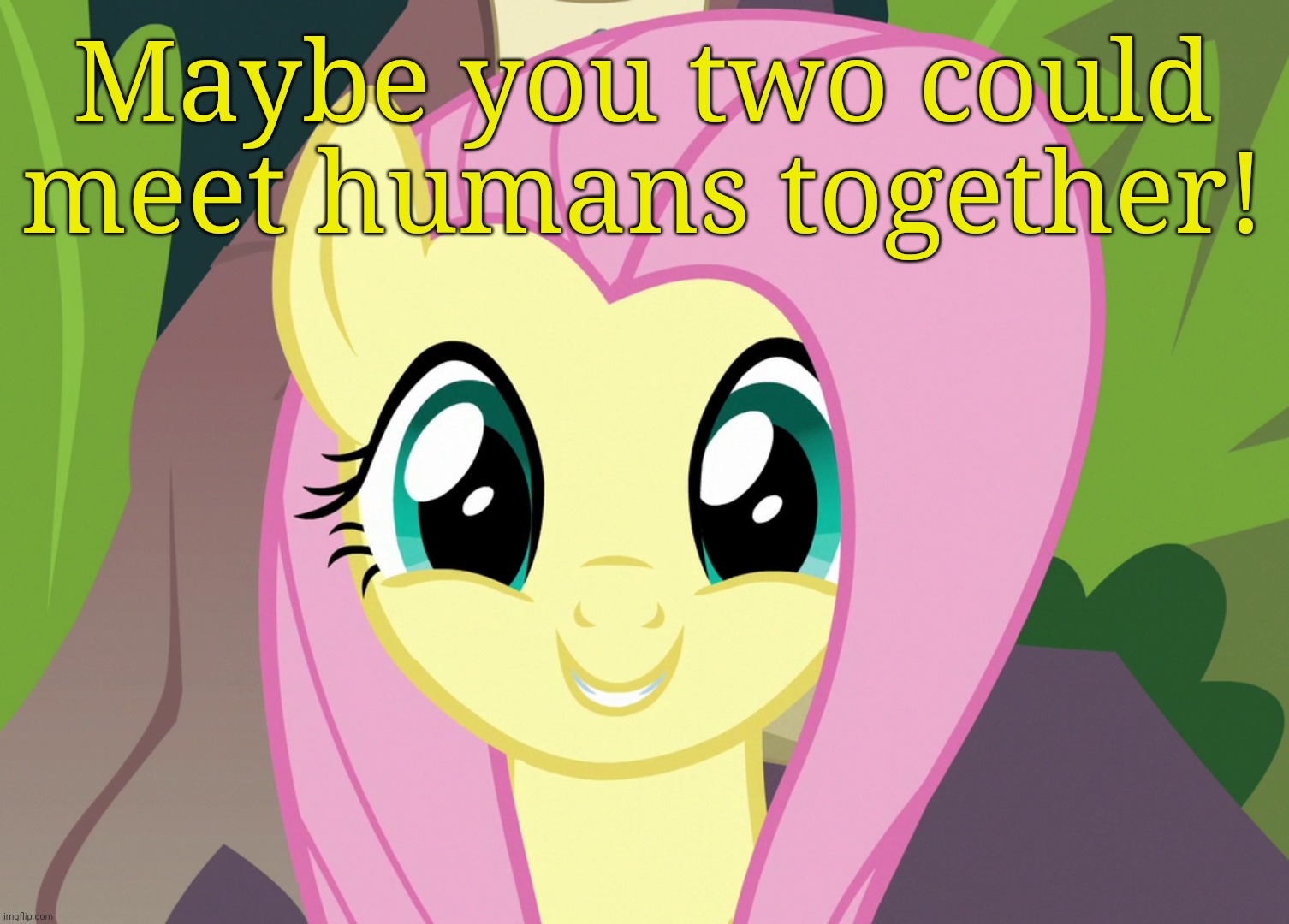 Shyabetes 2 (MLP) | Maybe you two could meet humans together! | image tagged in shyabetes 2 mlp | made w/ Imgflip meme maker