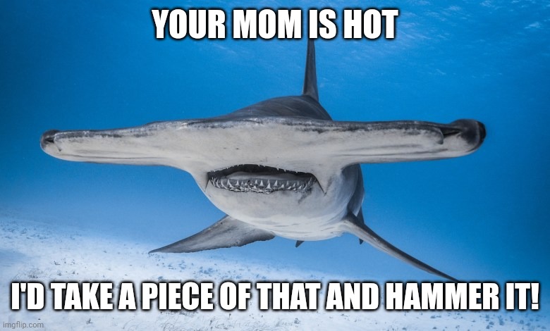 YOUR MOM IS HOT I'D TAKE A PIECE OF THAT AND HAMMER IT! | made w/ Imgflip meme maker
