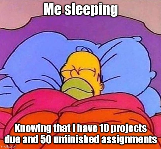 If I don't get paid I won't put in much effort | Me sleeping; Knowing that I have 10 projects due and 50 unfinished assignments | image tagged in homer simpson sleeping peacefully,memes | made w/ Imgflip meme maker