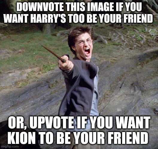 this is not a up beg. | DOWNVOTE THIS IMAGE IF YOU WANT HARRY'S TOO BE YOUR FRIEND; OR, UPVOTE IF YOU WANT KION TO BE YOUR FRIEND | image tagged in harry potter | made w/ Imgflip meme maker