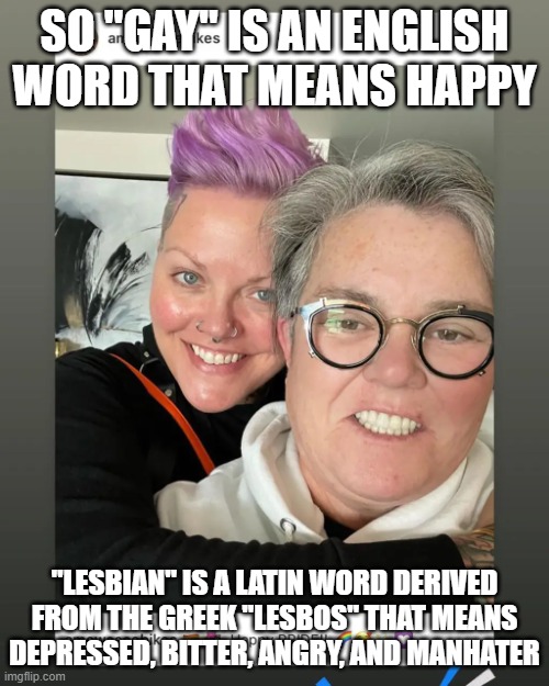 Lesbian Meaning | SO "GAY" IS AN ENGLISH WORD THAT MEANS HAPPY; "LESBIAN" IS A LATIN WORD DERIVED FROM THE GREEK "LESBOS" THAT MEANS DEPRESSED, BITTER, ANGRY, AND MANHATER | image tagged in rosie o'donnell,angry,bitter | made w/ Imgflip meme maker