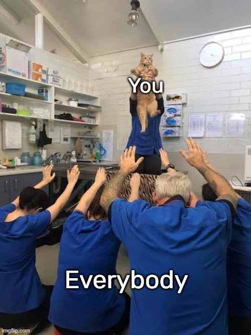 People Worshipping The Cat | You Everybody | image tagged in people worshipping the cat | made w/ Imgflip meme maker