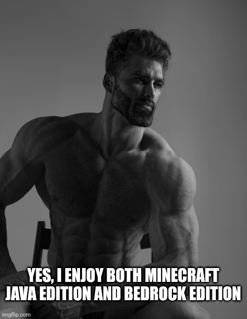 Giga Chad | YES, I ENJOY BOTH MINECRAFT JAVA EDITION AND BEDROCK EDITION | image tagged in giga chad | made w/ Imgflip meme maker