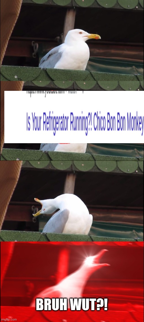 ummm | BRUH WUT?! | image tagged in memes,inhaling seagull | made w/ Imgflip meme maker
