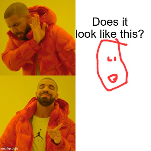 Drake Hotline Bling Meme | Does it look like this? | image tagged in memes,drake hotline bling | made w/ Imgflip meme maker