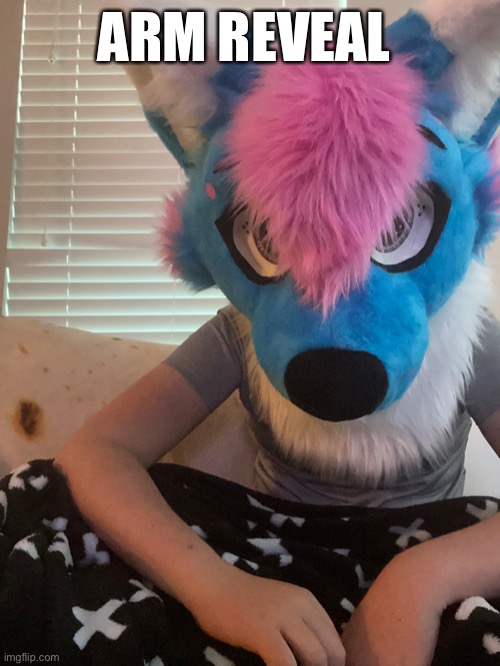Arm reveal lol | ARM REVEAL | image tagged in memes,fursuit | made w/ Imgflip meme maker