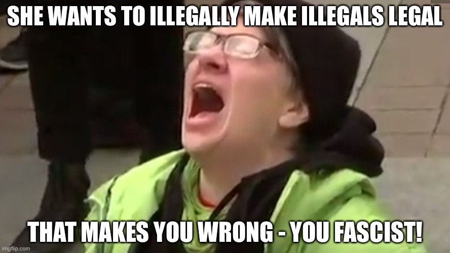 Screaming Liberal  | SHE WANTS TO ILLEGALLY MAKE ILLEGALS LEGAL THAT MAKES YOU WRONG - YOU FASCIST! | image tagged in screaming liberal | made w/ Imgflip meme maker