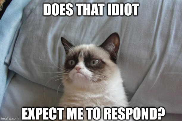 Grumpy Cat Bed Meme | DOES THAT IDIOT EXPECT ME TO RESPOND? | image tagged in memes,grumpy cat bed,grumpy cat | made w/ Imgflip meme maker