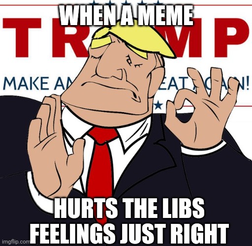 WHEN A MEME HURTS THE LIBS FEELINGS JUST RIGHT | made w/ Imgflip meme maker