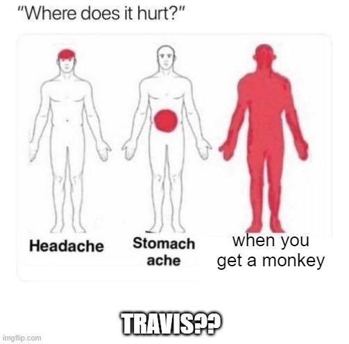 Where does it hurt |  when you get a monkey; TRAVIS?? | image tagged in where does it hurt | made w/ Imgflip meme maker