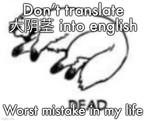 DEAD | Don’t translate 大阴茎 into english; Worst mistake in my life | image tagged in dead | made w/ Imgflip meme maker