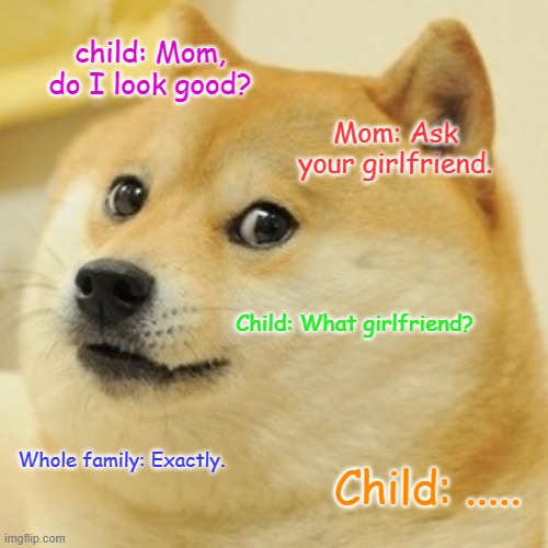 HAHAHA | child: Mom, do I look good? Mom: Ask your girlfriend. Child: What girlfriend? Whole family: Exactly. Child: ..... | image tagged in memes,doge | made w/ Imgflip meme maker