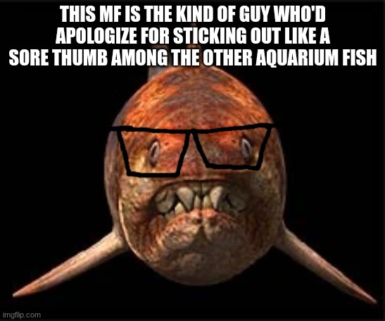 nerdunk | THIS MF IS THE KIND OF GUY WHO'D APOLOGIZE FOR STICKING OUT LIKE A SORE THUMB AMONG THE OTHER AQUARIUM FISH | image tagged in nerdunk | made w/ Imgflip meme maker