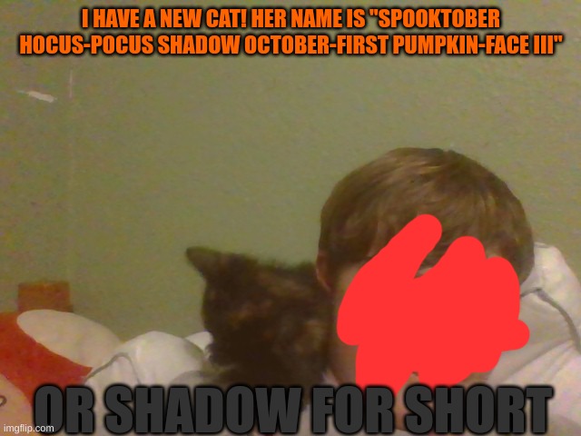 I HAVE A NEW CAT! HER NAME IS "SPOOKTOBER HOCUS-POCUS SHADOW OCTOBER-FIRST PUMPKIN-FACE III"; OR SHADOW FOR SHORT | image tagged in grumpy cat,kittens,woman yelling at cat,cats,cat,scared cat | made w/ Imgflip meme maker