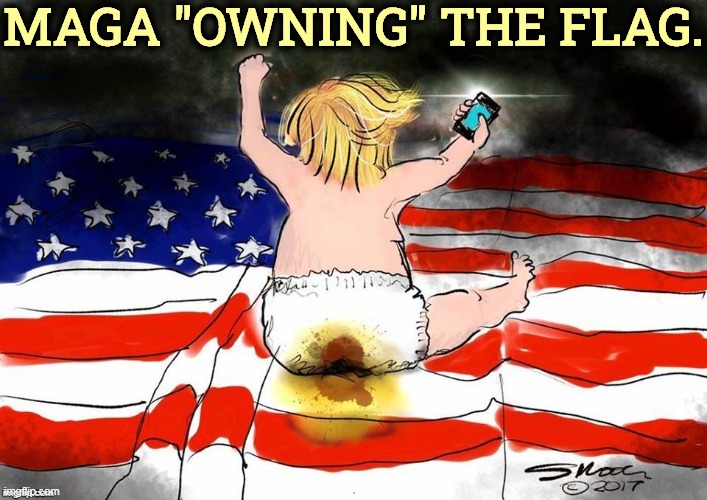 MAGA "OWNING" THE FLAG. | image tagged in maga,dirty,flag,trump | made w/ Imgflip meme maker