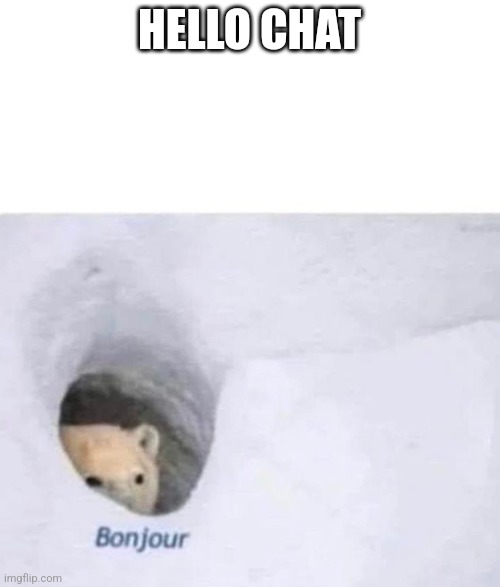 Bonjour | HELLO CHAT | image tagged in bonjour | made w/ Imgflip meme maker
