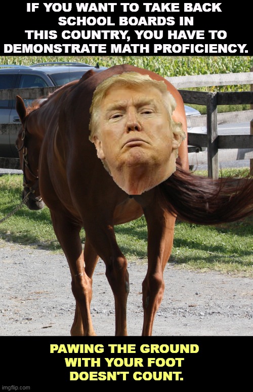 Neigh, seigh it ain't so. | IF YOU WANT TO TAKE BACK 
SCHOOL BOARDS IN THIS COUNTRY, YOU HAVE TO DEMONSTRATE MATH PROFICIENCY. PAWING THE GROUND 
WITH YOUR FOOT 
DOESN'T COUNT. | image tagged in donald trump the horse's ass,school,board,ignorance | made w/ Imgflip meme maker
