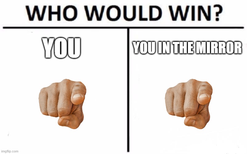 Who will win you or your reflection | YOU; YOU IN THE MIRROR | image tagged in memes,who would win | made w/ Imgflip meme maker