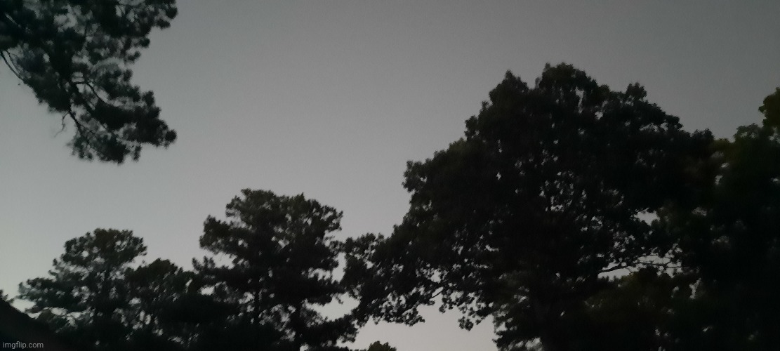 I took it a couple hours ago | made w/ Imgflip meme maker