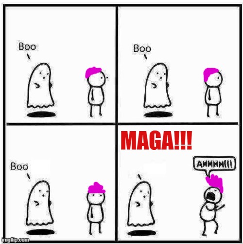 Ghost Boo | MAGA!!! | image tagged in ghost boo,maga,pink hair | made w/ Imgflip meme maker