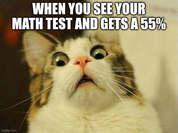 Scared Cat Meme | WHEN YOU SEE YOUR MATH TEST AND GETS A 55% | image tagged in memes,scared cat | made w/ Imgflip meme maker