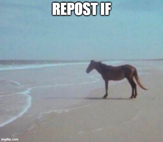 Man Horse Water | REPOST IF | image tagged in man horse water | made w/ Imgflip meme maker