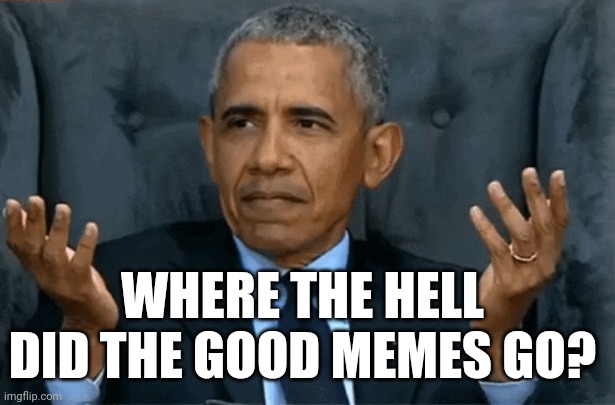 Wher? | WHERE THE HELL DID THE GOOD MEMES GO? | image tagged in obama confused | made w/ Imgflip meme maker