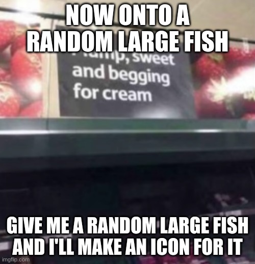 bad strawberry advertising | NOW ONTO A RANDOM LARGE FISH; GIVE ME A RANDOM LARGE FISH AND I'LL MAKE AN ICON FOR IT | image tagged in bad strawberry advertising | made w/ Imgflip meme maker