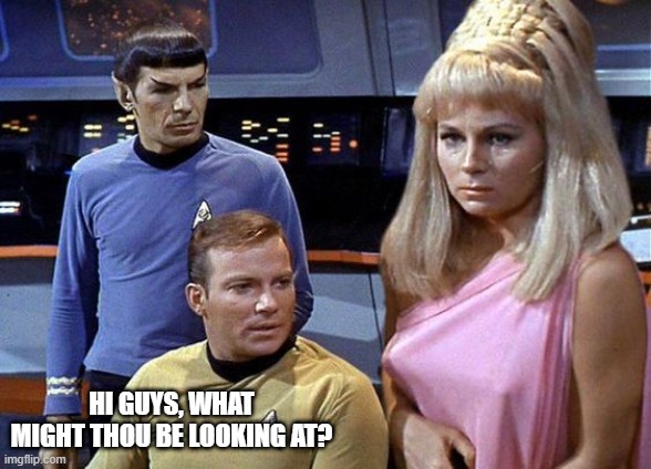 Ogle the Yoeman | HI GUYS, WHAT MIGHT THOU BE LOOKING AT? | image tagged in a star trek moment | made w/ Imgflip meme maker
