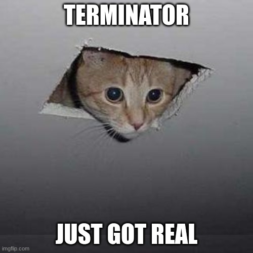 Ceiling Cat | TERMINATOR; JUST GOT REAL | image tagged in memes,ceiling cat | made w/ Imgflip meme maker