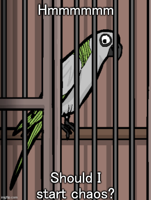 Bird on crack | Hmmmmmm; Should I start chaos? | image tagged in bird on crack | made w/ Imgflip meme maker