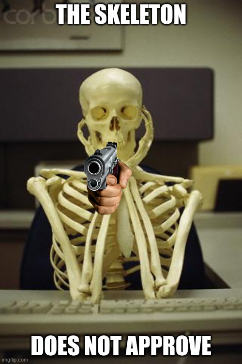 Waiting Skeleton | THE SKELETON; DOES NOT APPROVE | image tagged in waiting skeleton | made w/ Imgflip meme maker