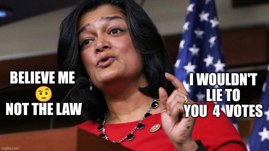 Pramila Lying | I WOULDN'T LIE TO YOU  4  VOTES; BELIEVE ME   
🤨  
NOT THE LAW | image tagged in memes | made w/ Imgflip meme maker