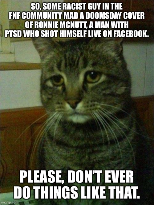Depressed Cat Meme | SO, SOME RACIST GUY IN THE FNF COMMUNITY MAD A DOOMSDAY COVER OF RONNIE MCNUTT, A MAN WITH PTSD WHO SHOT HIMSELF LIVE ON FACEBOOK. PLEASE, DON’T EVER DO THINGS LIKE THAT. | image tagged in memes,depressed cat | made w/ Imgflip meme maker