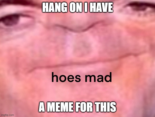 hoes mad | HANG ON I HAVE A MEME FOR THIS | image tagged in hoes mad | made w/ Imgflip meme maker