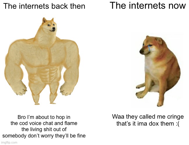 This is the truth though you gotta agree | The internets now; The internets back then; Bro I’m about to hop in the cod voice chat and flame the living shit out of somebody don’t worry they’ll be fine; Waa they called me cringe that’s it ima dox them :( | image tagged in memes,buff doge vs cheems | made w/ Imgflip meme maker